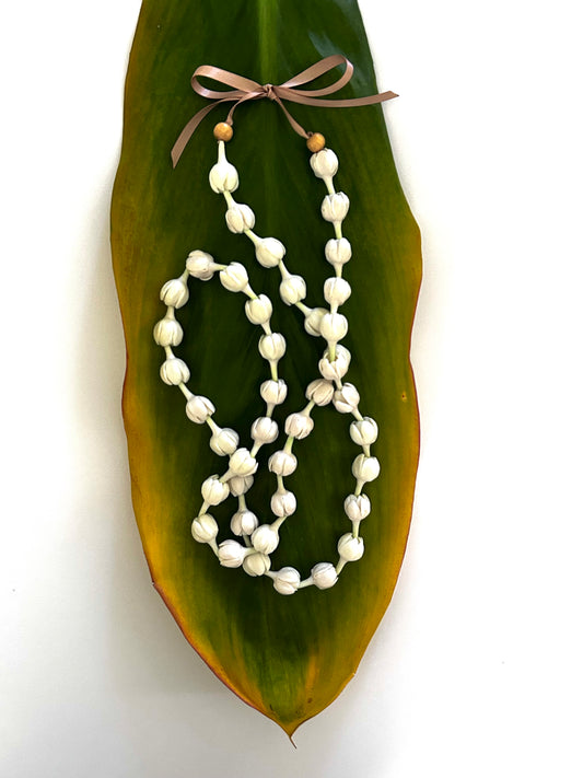 Pikake Budded Flower Lei, Clay